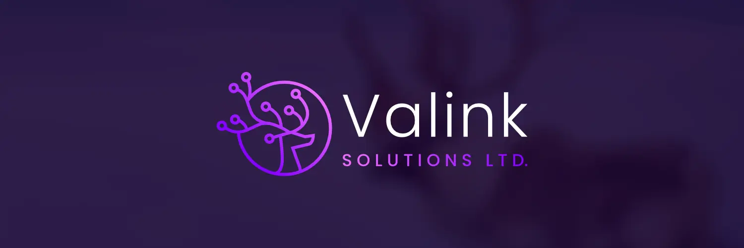 Valink Solutions Logo